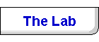 The Lab